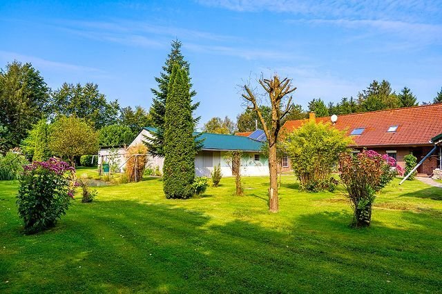 Blick in den Garten