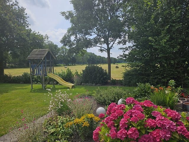 Blick in den Garten