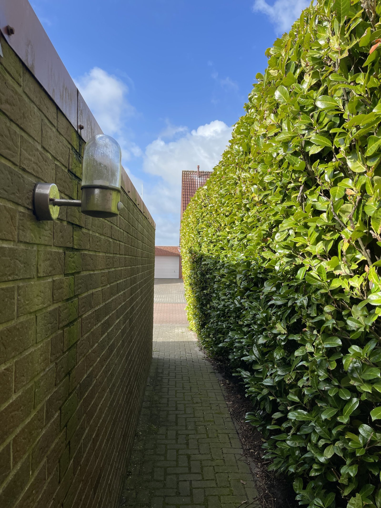 Seitlicher Zugang zum Haus